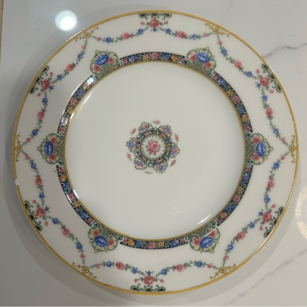 Theodore Havland LImoges Ivory China “Shleiger 1262 Pattern 9 1/2”  Plate *FLAW*